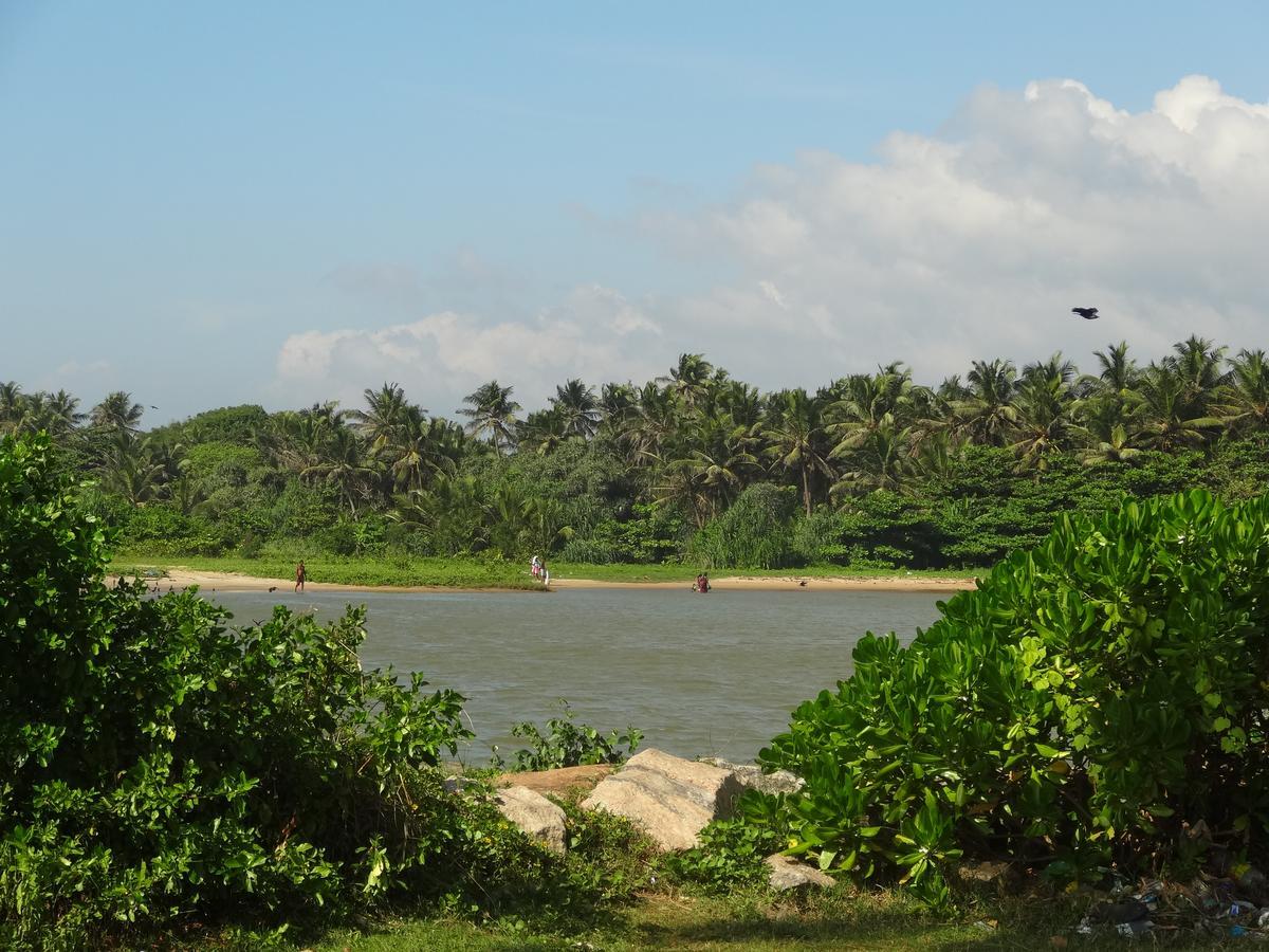 Shanketha Palace Hotel Negombo Zewnętrze zdjęcie